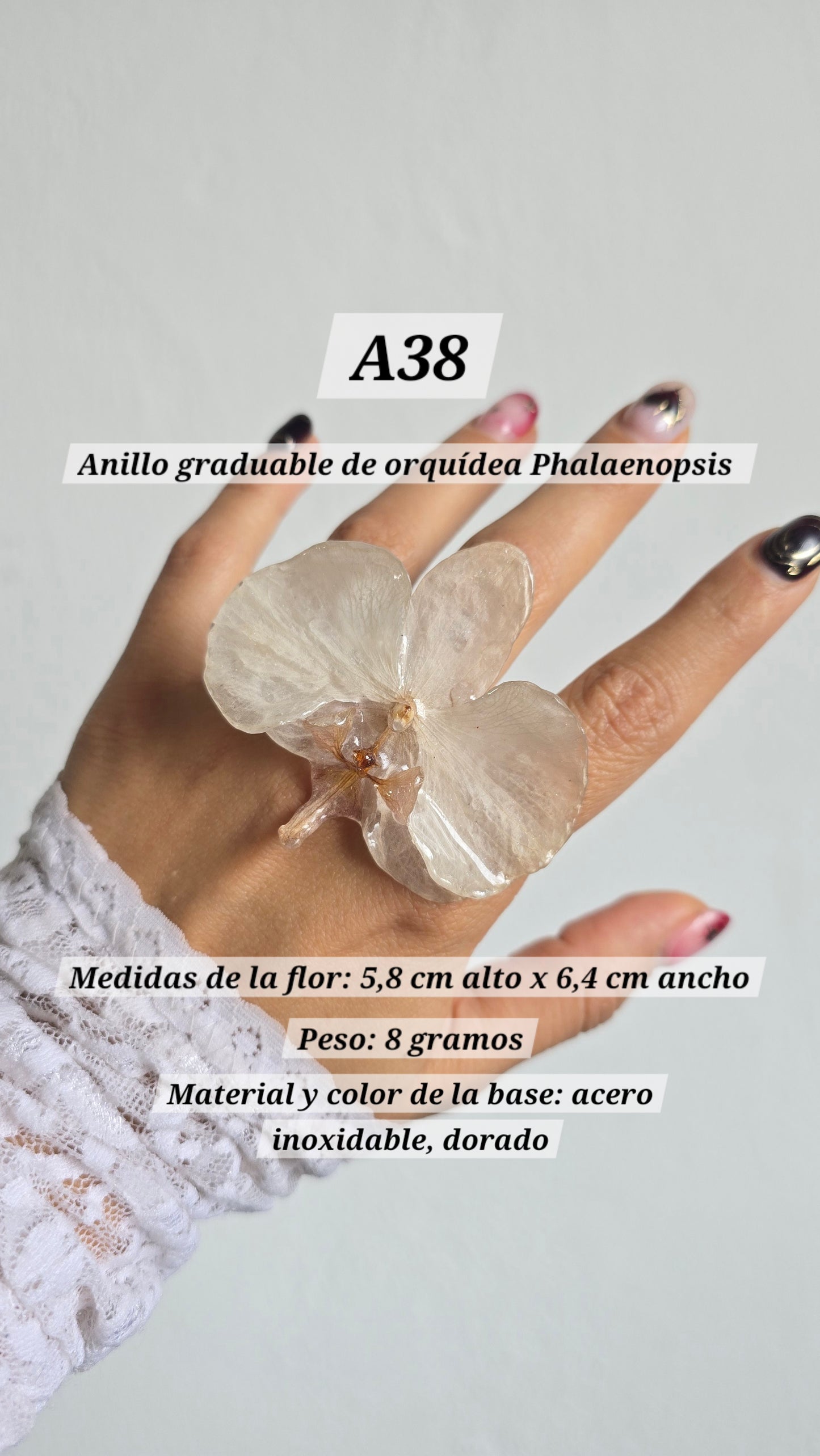 Anillos con orquídeas