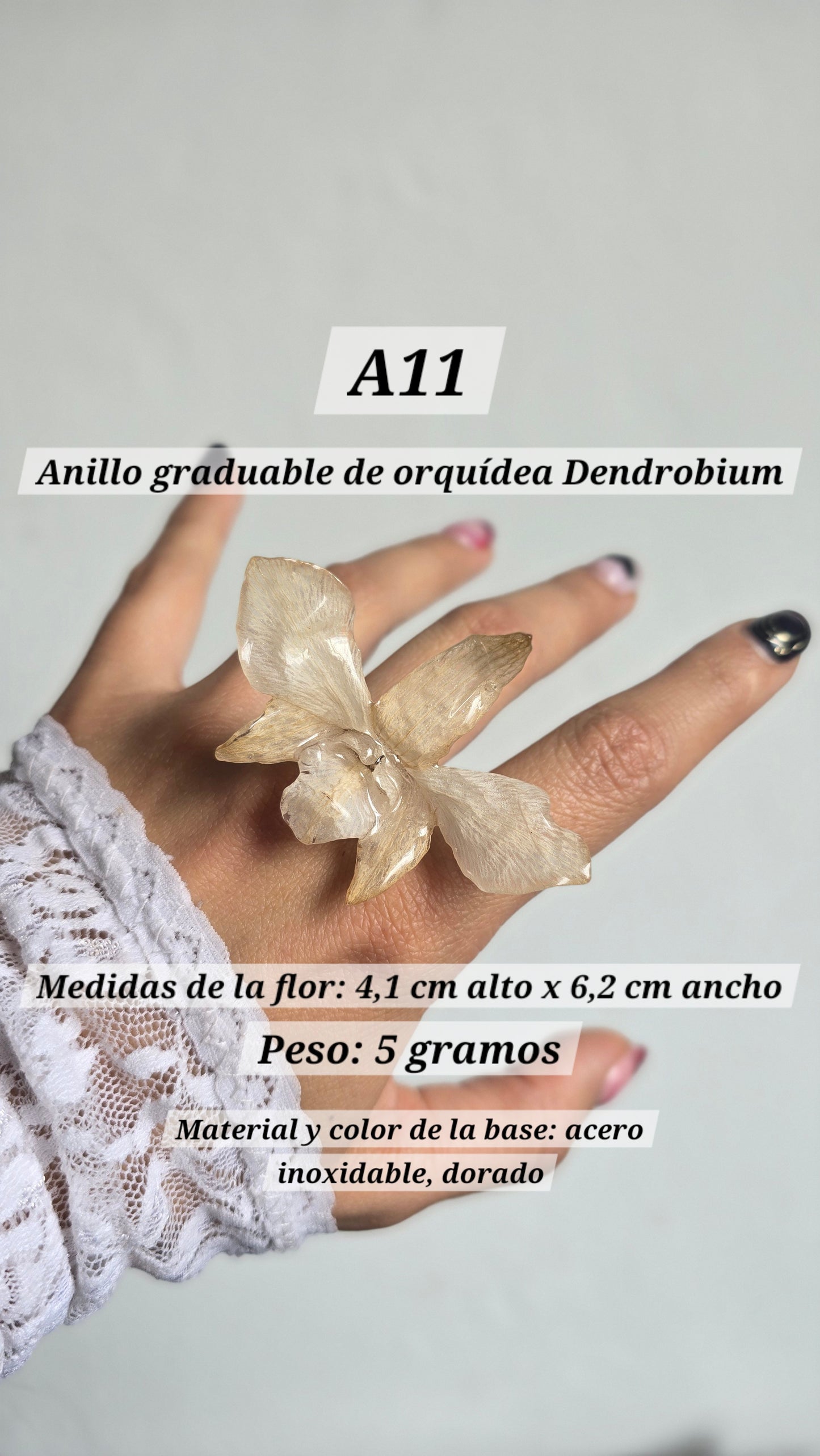 Anillos de orquídeas