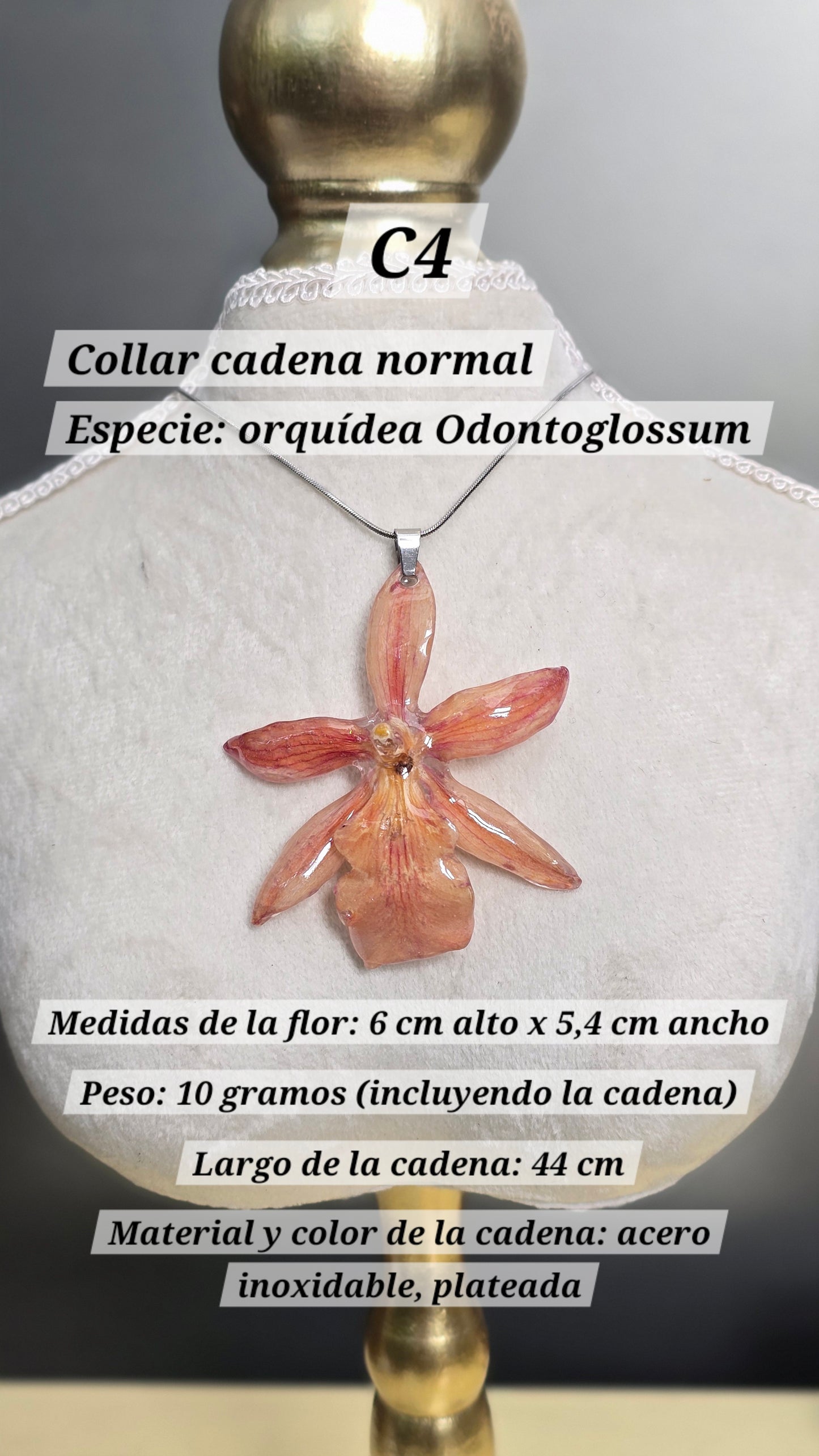 Collares con orquídeas