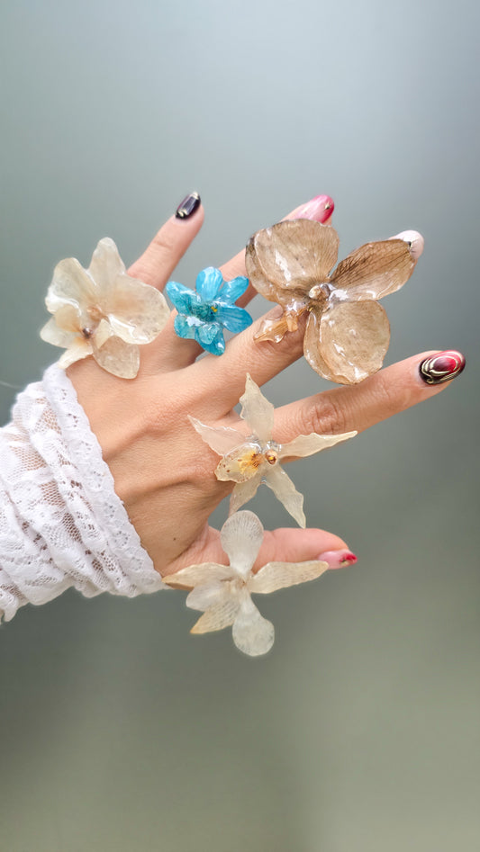 Anillos de orquídeas